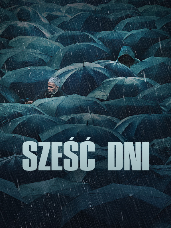 szesc_dni_poster